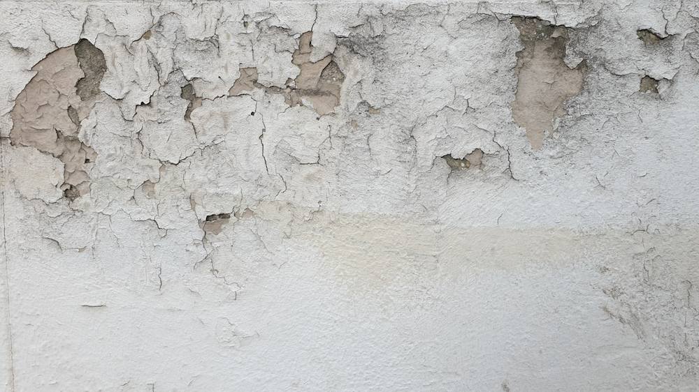 Paint lifting and salt damage low on an old wall